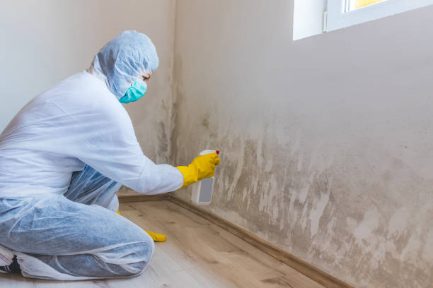 Licensed Crawl Space Mold Removal service in New Hope, PA - WQB Mold Removal
