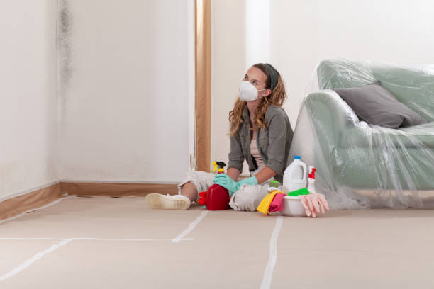 Trusted Crawl Space Mold Removal service in New Hope, PA - WQB Mold Removal